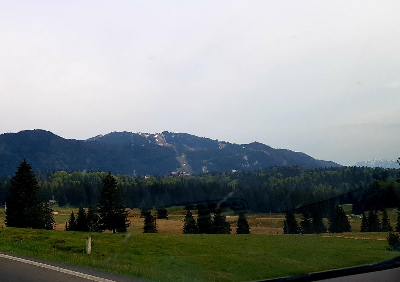 Apartment Poiana Brasov Eksteriør bilde