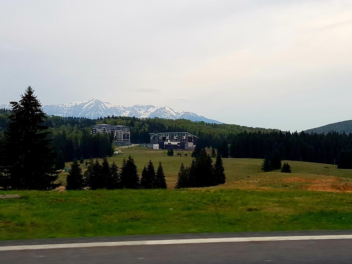 Apartment Poiana Brasov Eksteriør bilde